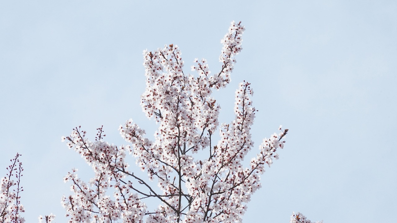 ETCカードの年会費はポイント還元でどれだけ得られるの？