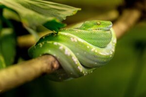 クレジットカードの紹介で年会費をお得にする方法は？