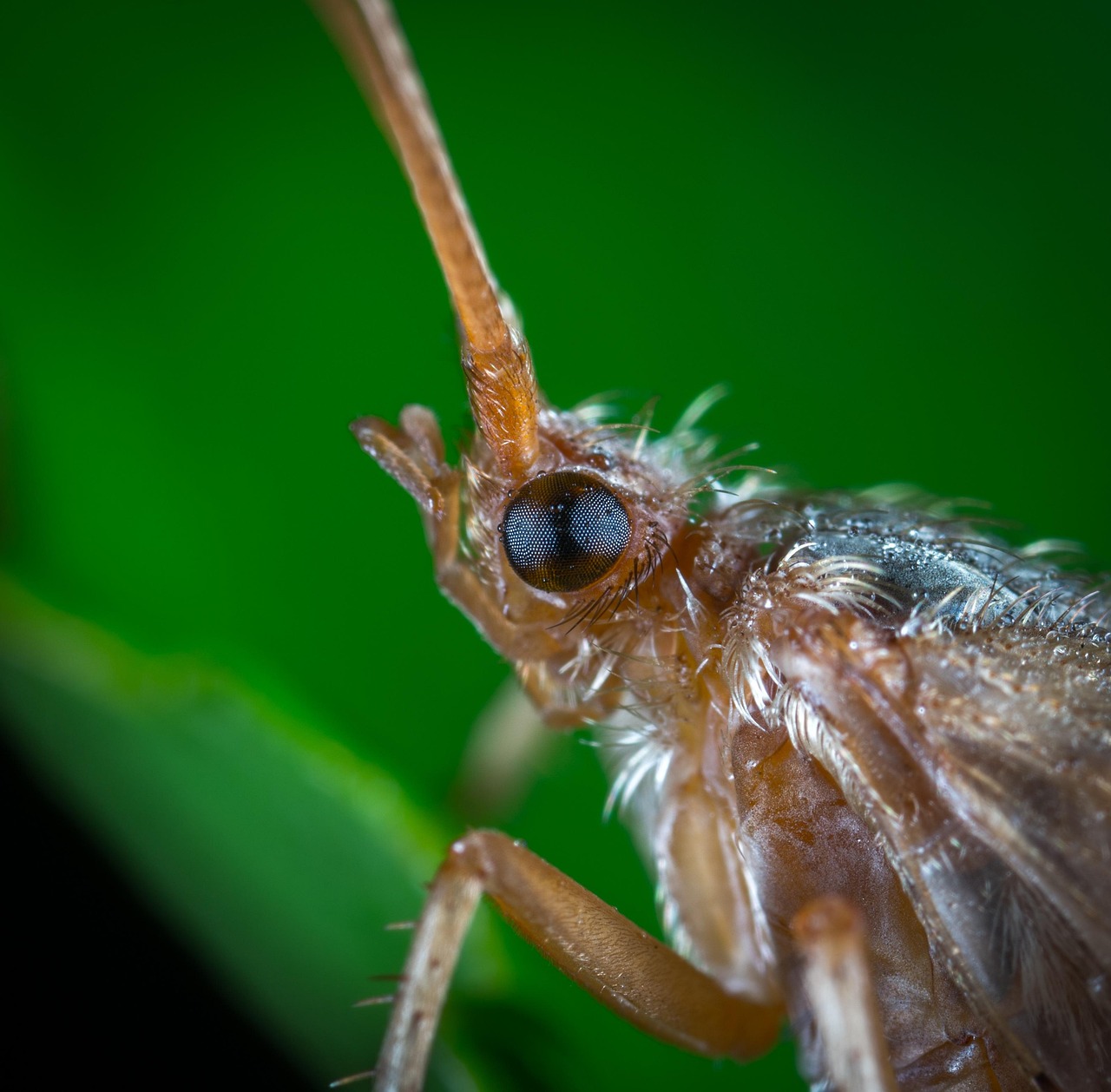 三井住友カードの年会費とポイントを比較する際のポイントは？