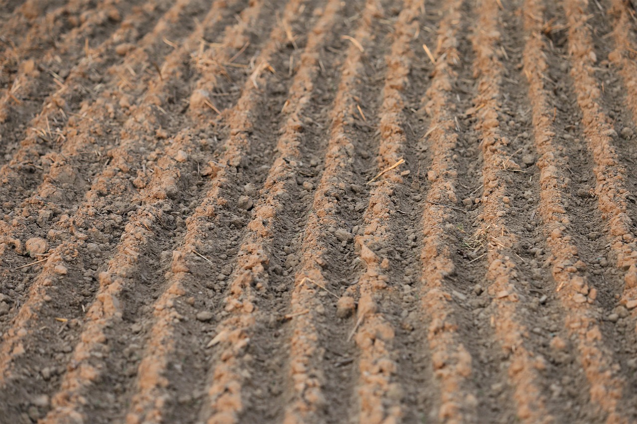 年会費と還元額を比較したクレジットカードの選び方は？