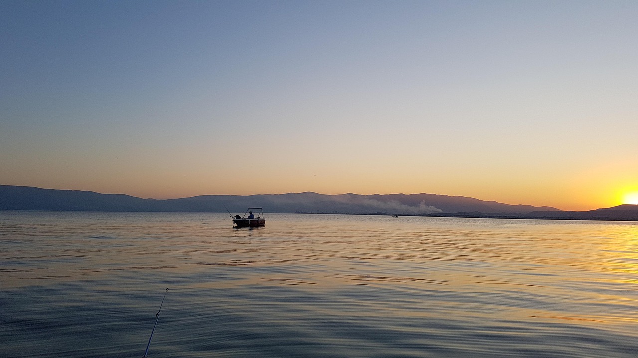 年会費の見直しで得られるクレジットカードのポイントはどれくらい？